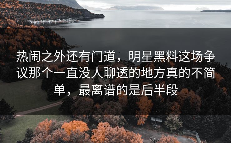 热闹之外还有门道，明星黑料这场争议那个一直没人聊透的地方真的不简单，最离谱的是后半段
