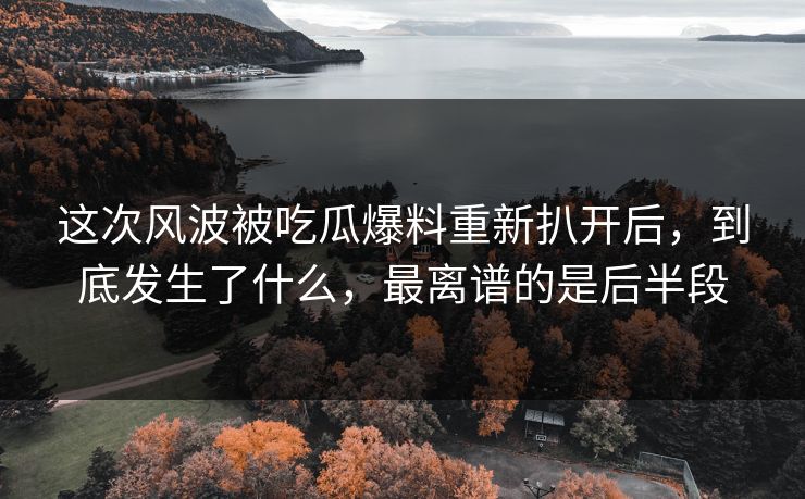 这次风波被吃瓜爆料重新扒开后，到底发生了什么，最离谱的是后半段
