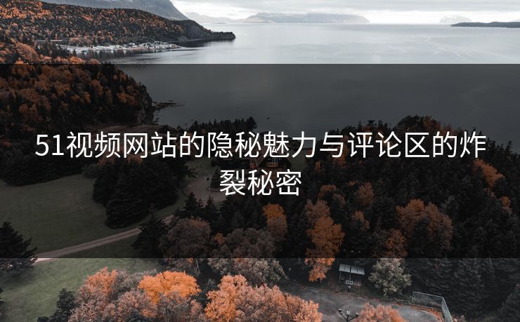 51视频网站的隐秘魅力与评论区的炸裂秘密