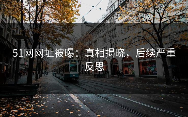 51网网址被曝：真相揭晓，后续严重反思