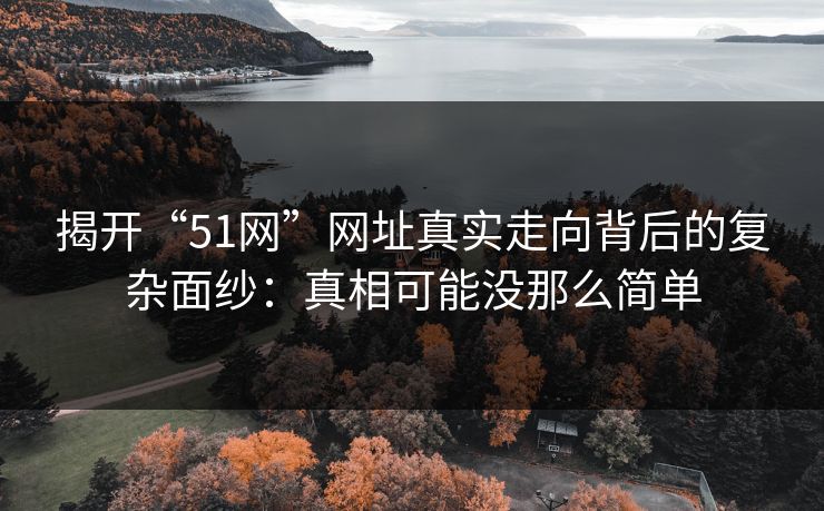 揭开“51网”网址真实走向背后的复杂面纱：真相可能没那么简单