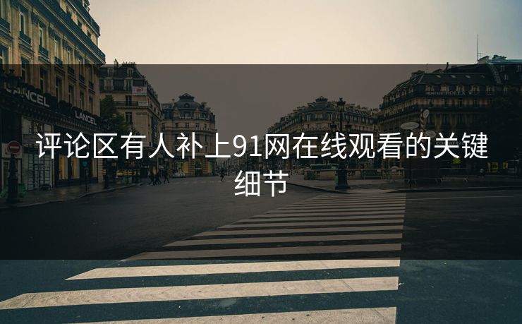 评论区有人补上91网在线观看的关键细节